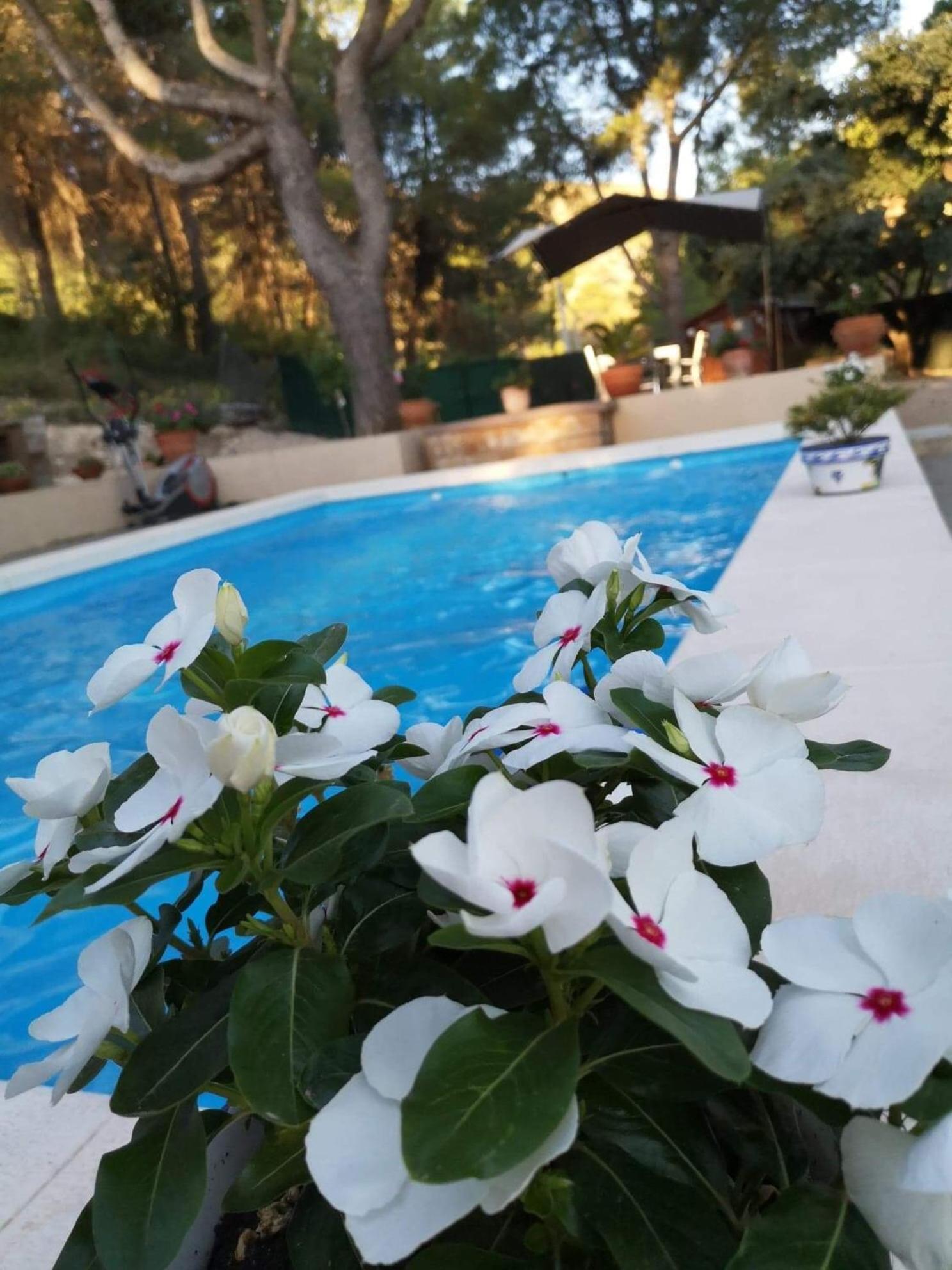 Bed and Breakfast Casa Jetizo Ontinyent Exteriér fotografie