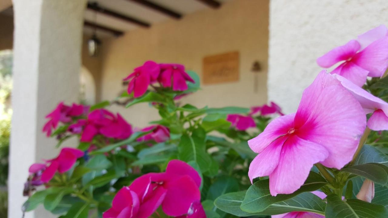 Bed and Breakfast Casa Jetizo Ontinyent Exteriér fotografie
