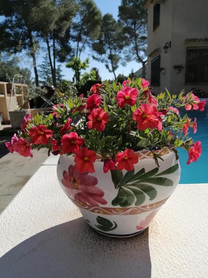 Bed and Breakfast Casa Jetizo Ontinyent Exteriér fotografie